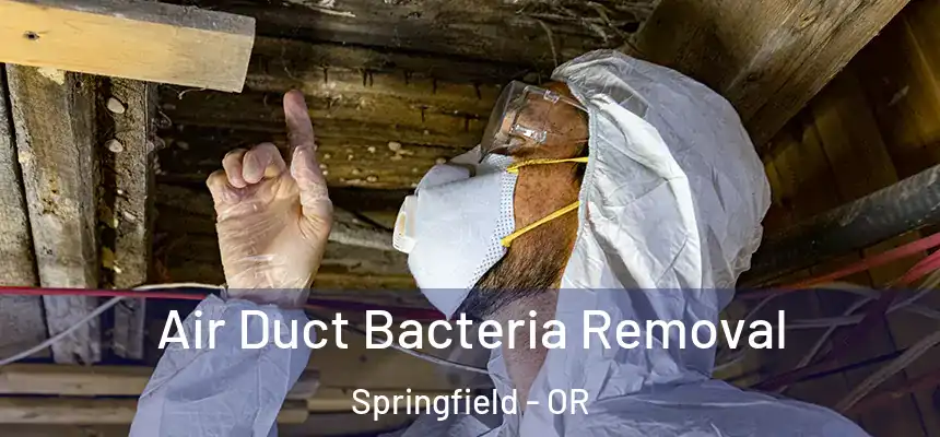  Air Duct Bacteria Removal Springfield - OR