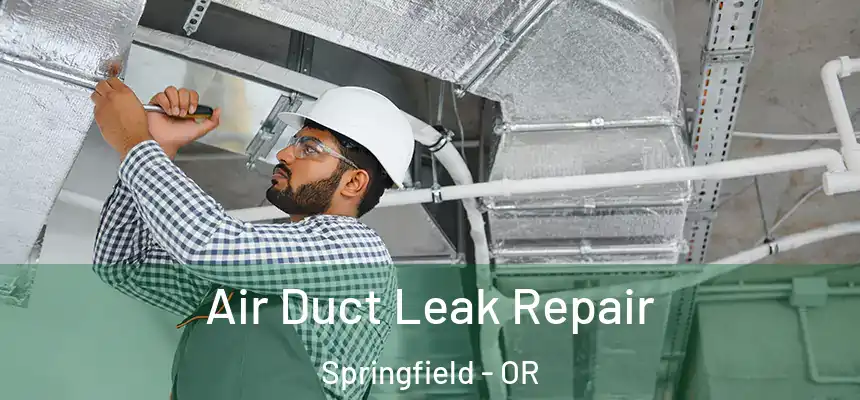 Air Duct Leak Repair Springfield - OR