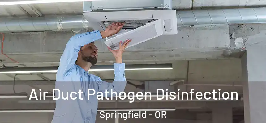  Air Duct Pathogen Disinfection Springfield - OR