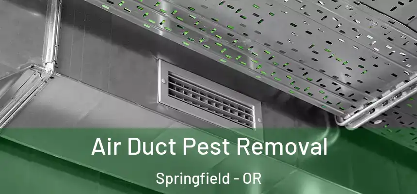 Air Duct Pest Removal Springfield - OR