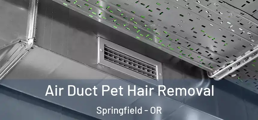 Air Duct Pet Hair Removal Springfield - OR