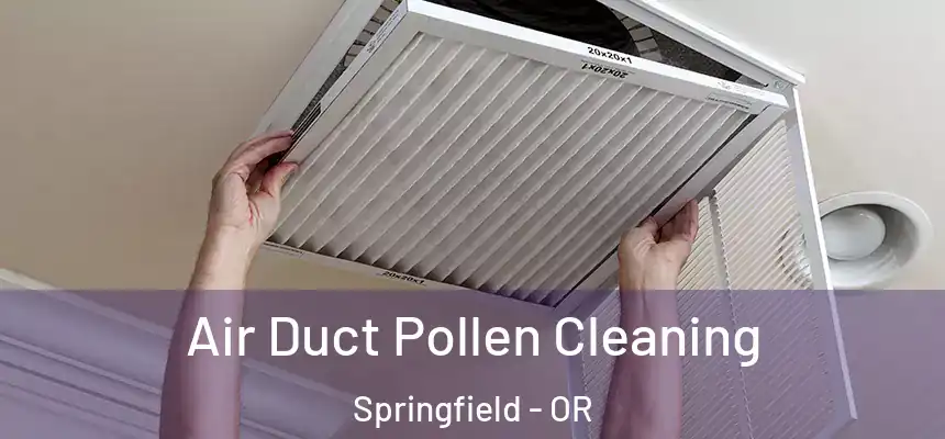  Air Duct Pollen Cleaning Springfield - OR