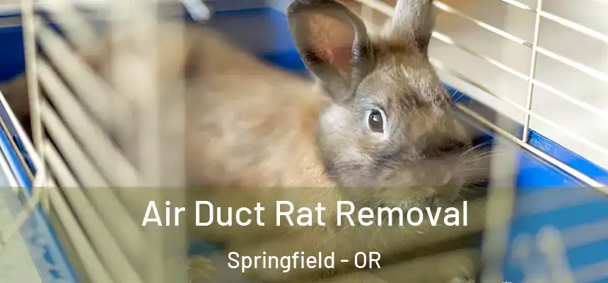  Air Duct Rat Removal Springfield - OR