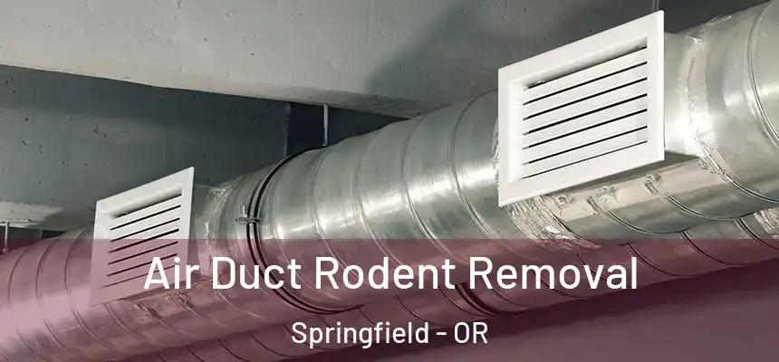  Air Duct Rodent Removal Springfield - OR