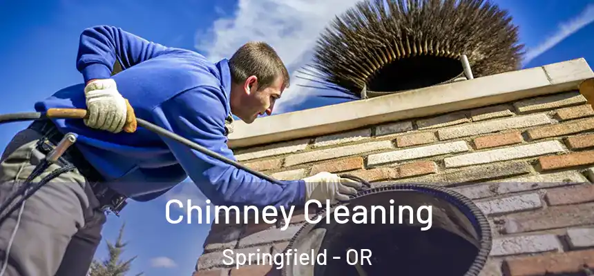 Chimney Cleaning Springfield - OR