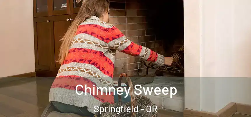 Chimney Sweep Springfield - OR