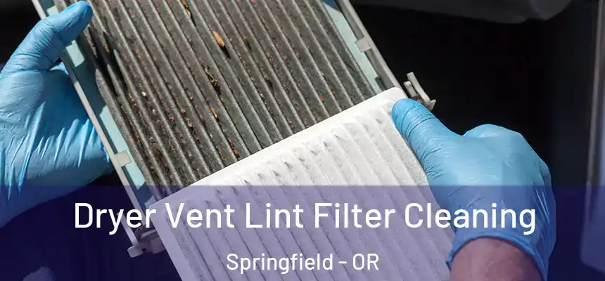 Dryer Vent Lint Filter Cleaning Springfield - OR
