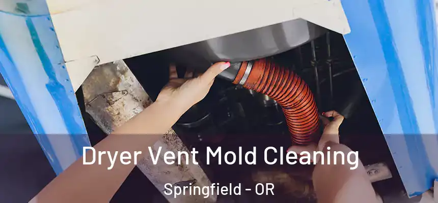 Dryer Vent Mold Cleaning Springfield - OR