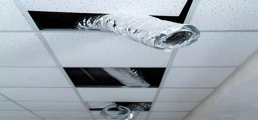 Our Air Duct Pet Hair Removal Services in Springfield, OR