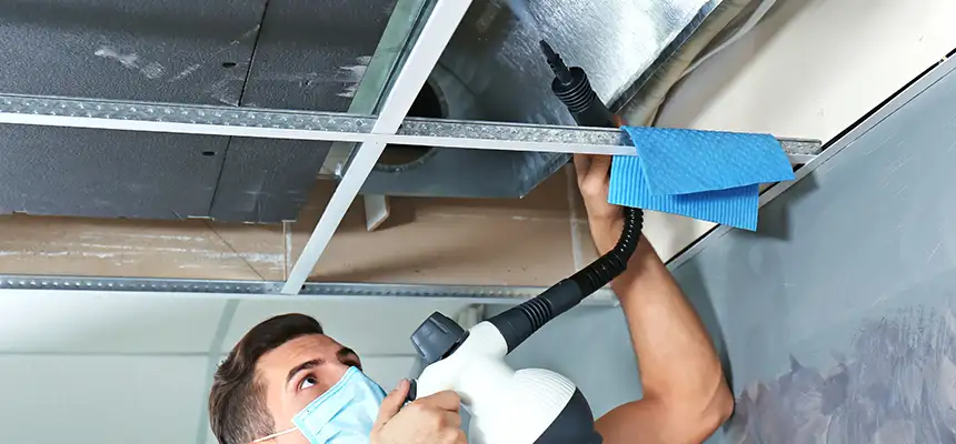 Our Air Duct Rodent Removal Services in Springfield, OR