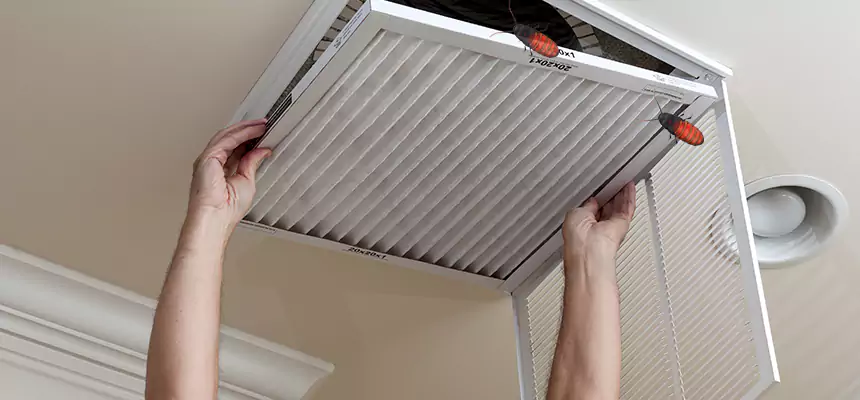 Our Insect Removal from Air Ducts Services in Springfield, OR