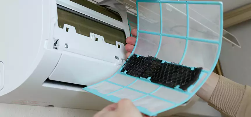 Gentle Ductwork Odor-Control Pet Dander Duct Cleaning in Springfield, OR