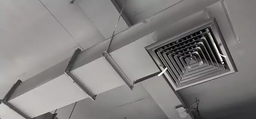 Our Rodent Droppings In Vents Services in Springfield, OR