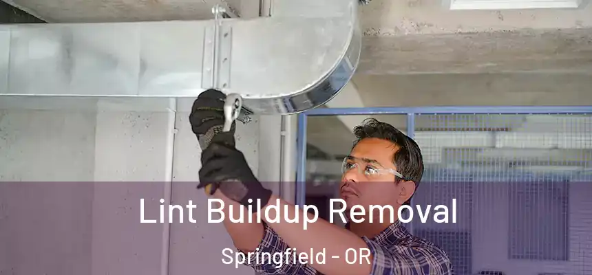 Lint Buildup Removal Springfield - OR