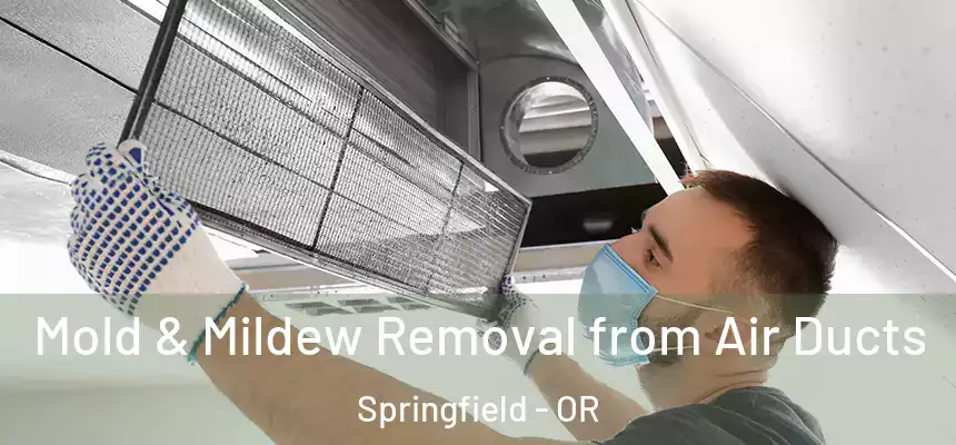 Mold & Mildew Removal from Air Ducts Springfield - OR