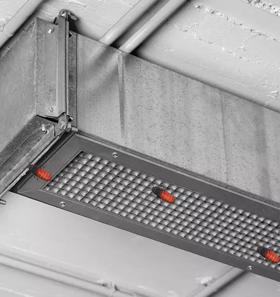 Affordable Insect Removal from Air Ducts in Springfield, OR