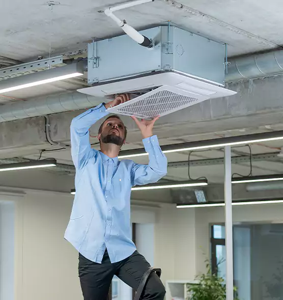 Advanced Rodent Droppings In Vents in Springfield, OR