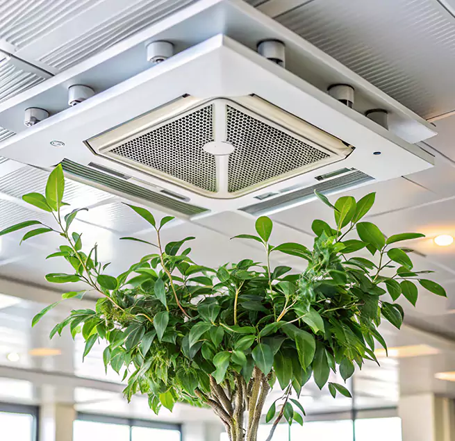 Why Homeowners & Businesses Trust Us in Springfield, OR?