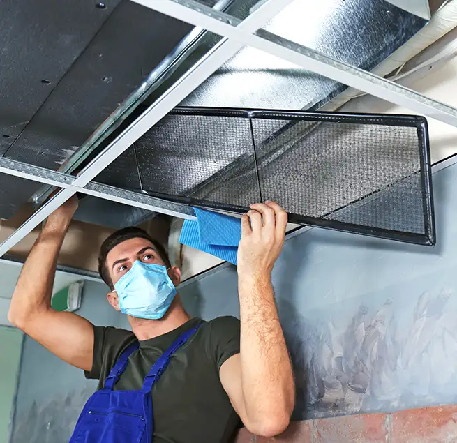 Why Homeowners & Businesses Trust Us in Springfield, OR?