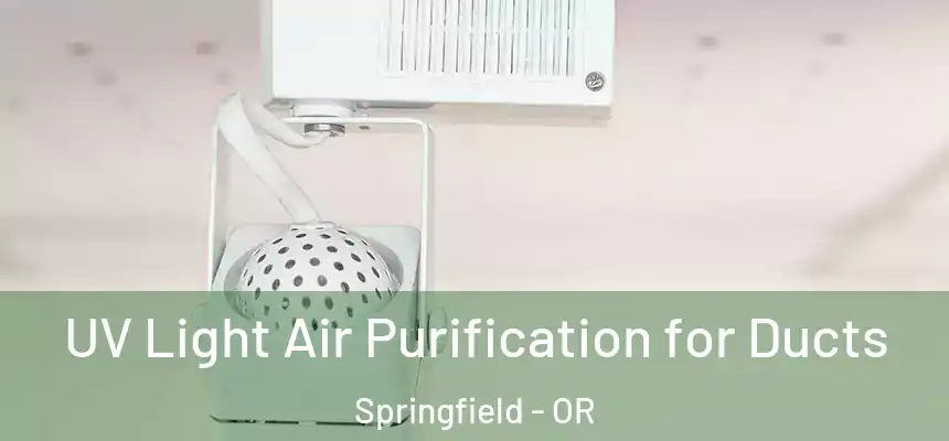  UV Light Air Purification for Ducts Springfield - OR