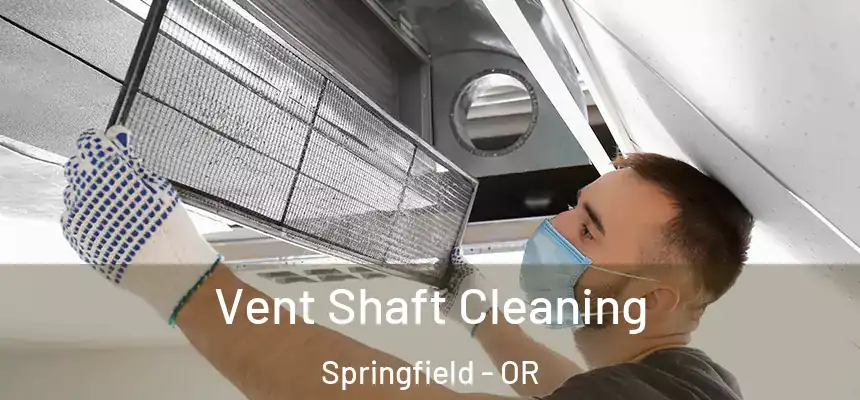  Vent Shaft Cleaning Springfield - OR