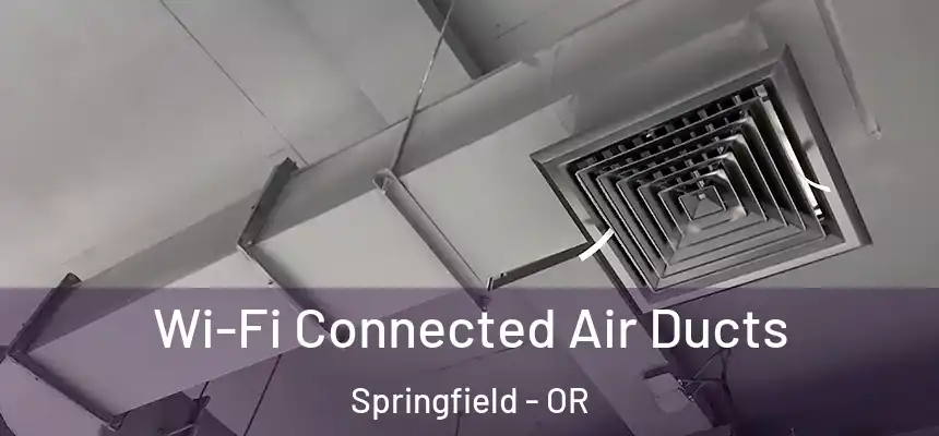  Wi-Fi Connected Air Ducts Springfield - OR